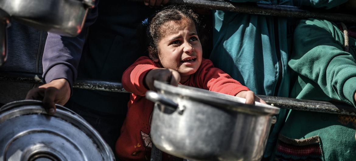Everyone is hungry in Gaza, warn UN humanitarians
