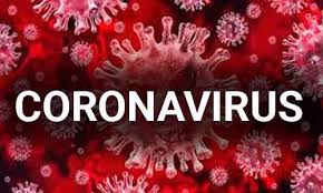Homoeopathy for Prevention of Corona virus Infections , Ministry of AYUSH- Report by Dr Ramesh C Raina 