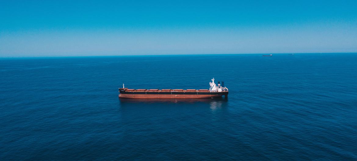 The Red Sea shipping crisis is having a ‘dramatic’ impact, warns logistics chief